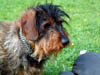 Dscf0682