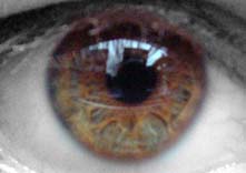 irisSW