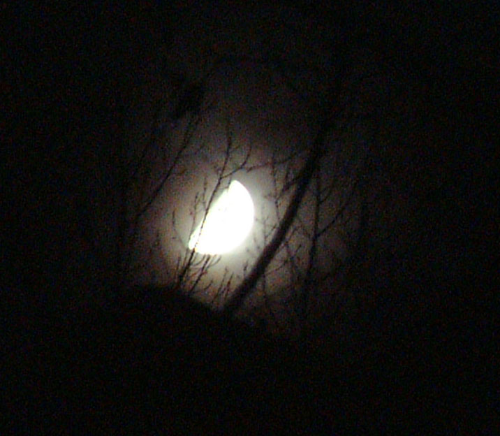 Dscf0389