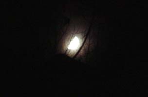 Dscf0390