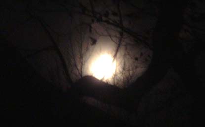 Dscf0392