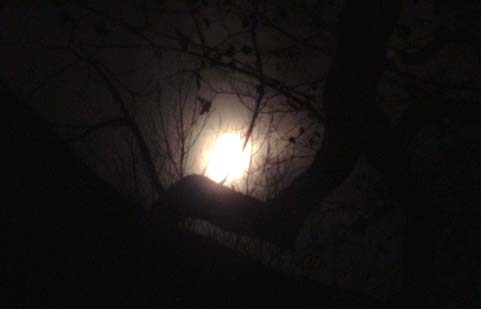 Dscf0393