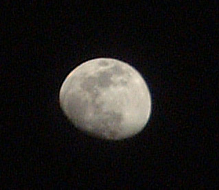schoenermond165
