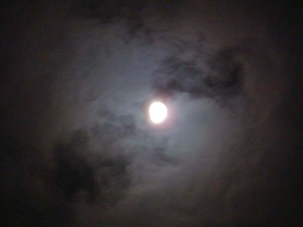 sterne3