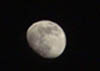 mond3