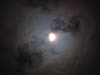 sterne3