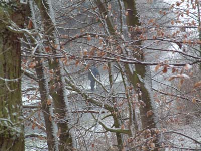 DSCF0054