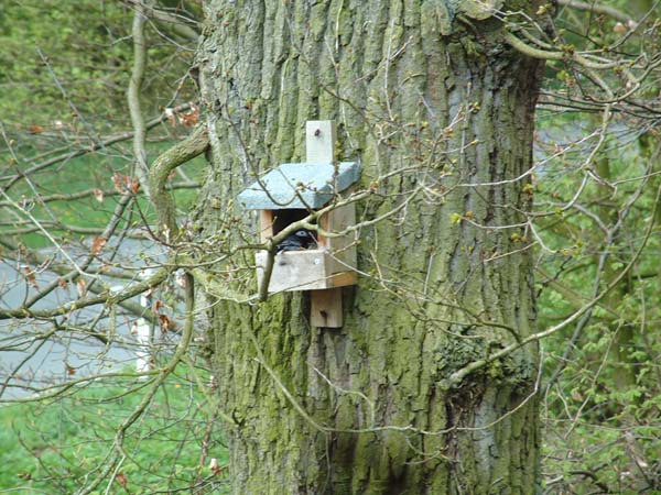 DSCF0447
