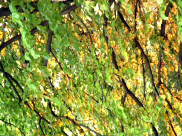 Dscf0501b