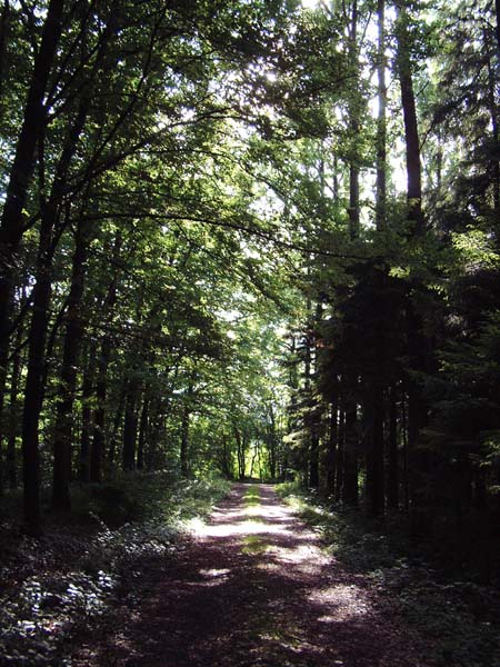 Dscf0688