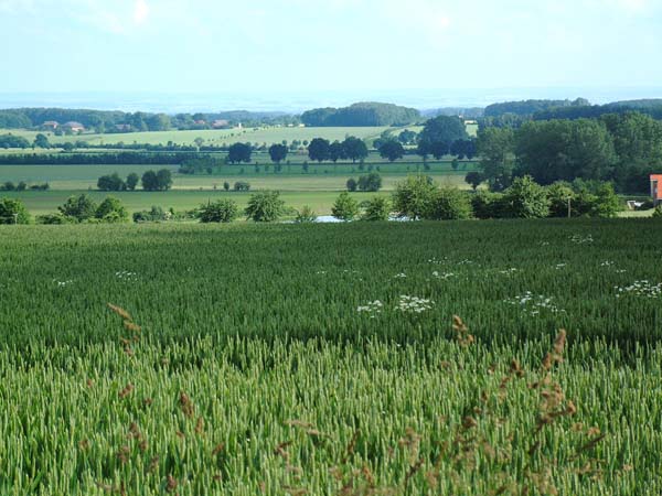 Dscf0690
