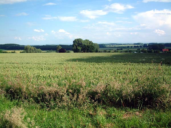 Dscf0691b