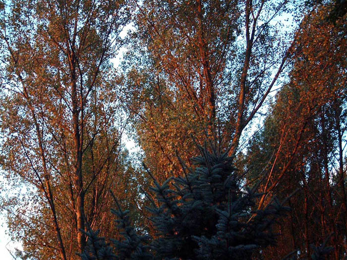 Dscf0930
