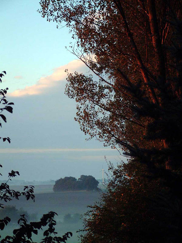 Dscf0931
