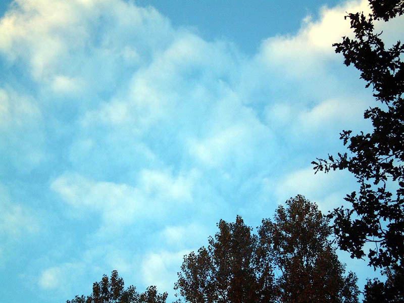 Dscf0936