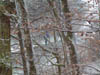 DSCF0054