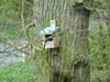 DSCF0447