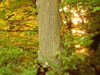 Dscf0499
