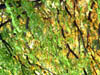 Dscf0501b