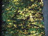 Dscf0507