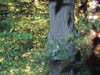 Dscf0509