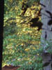 Dscf0514