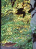 Dscf0515