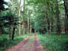 Dscf0686