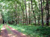 Dscf0687