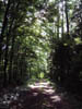 Dscf0688
