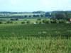 Dscf0690