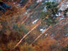 Dscf0932