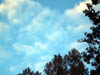 Dscf0936