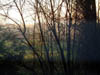Dscf1384