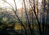 Dscf1386